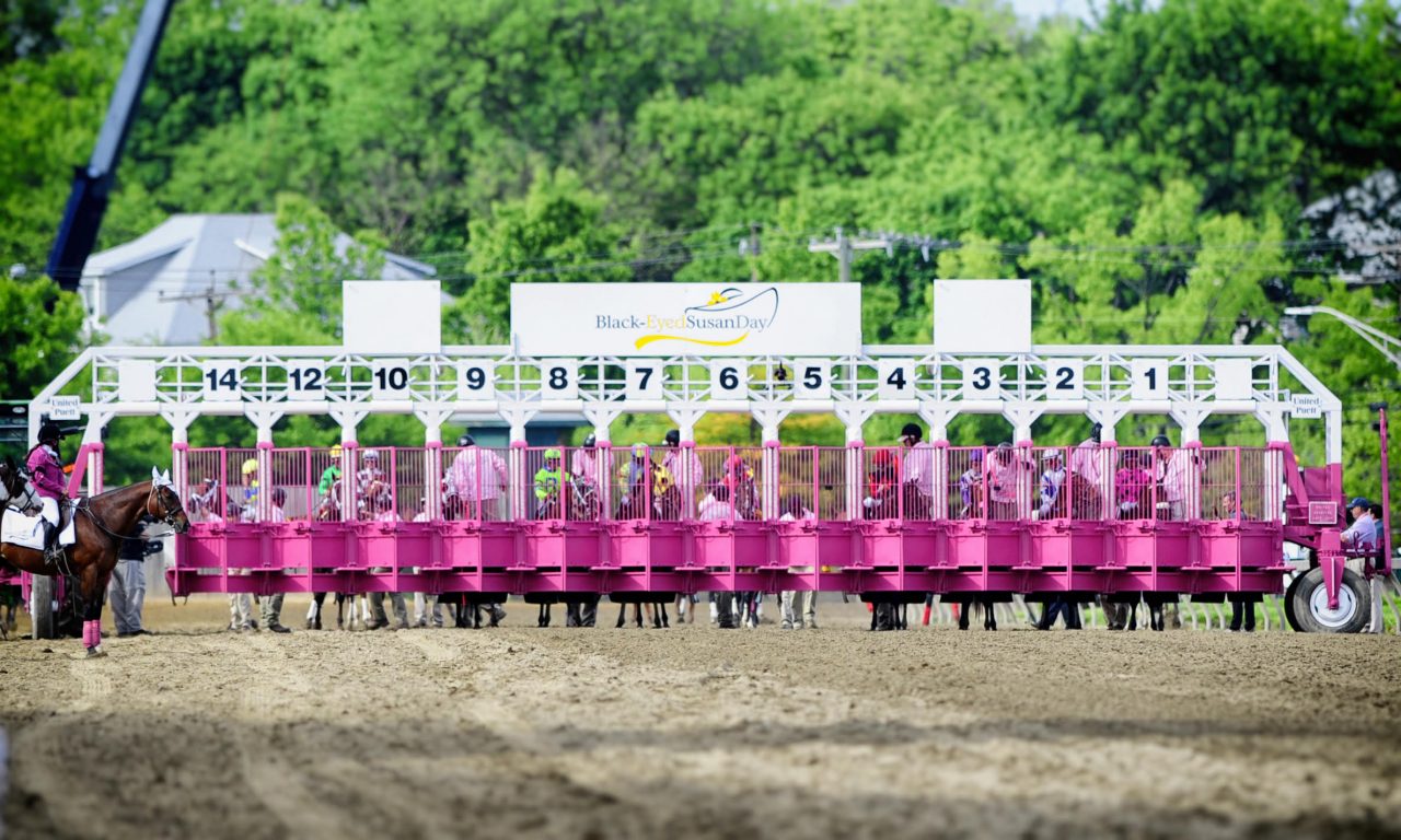 BlackEyed Susan Horse Race 2023 Preakness Stakes