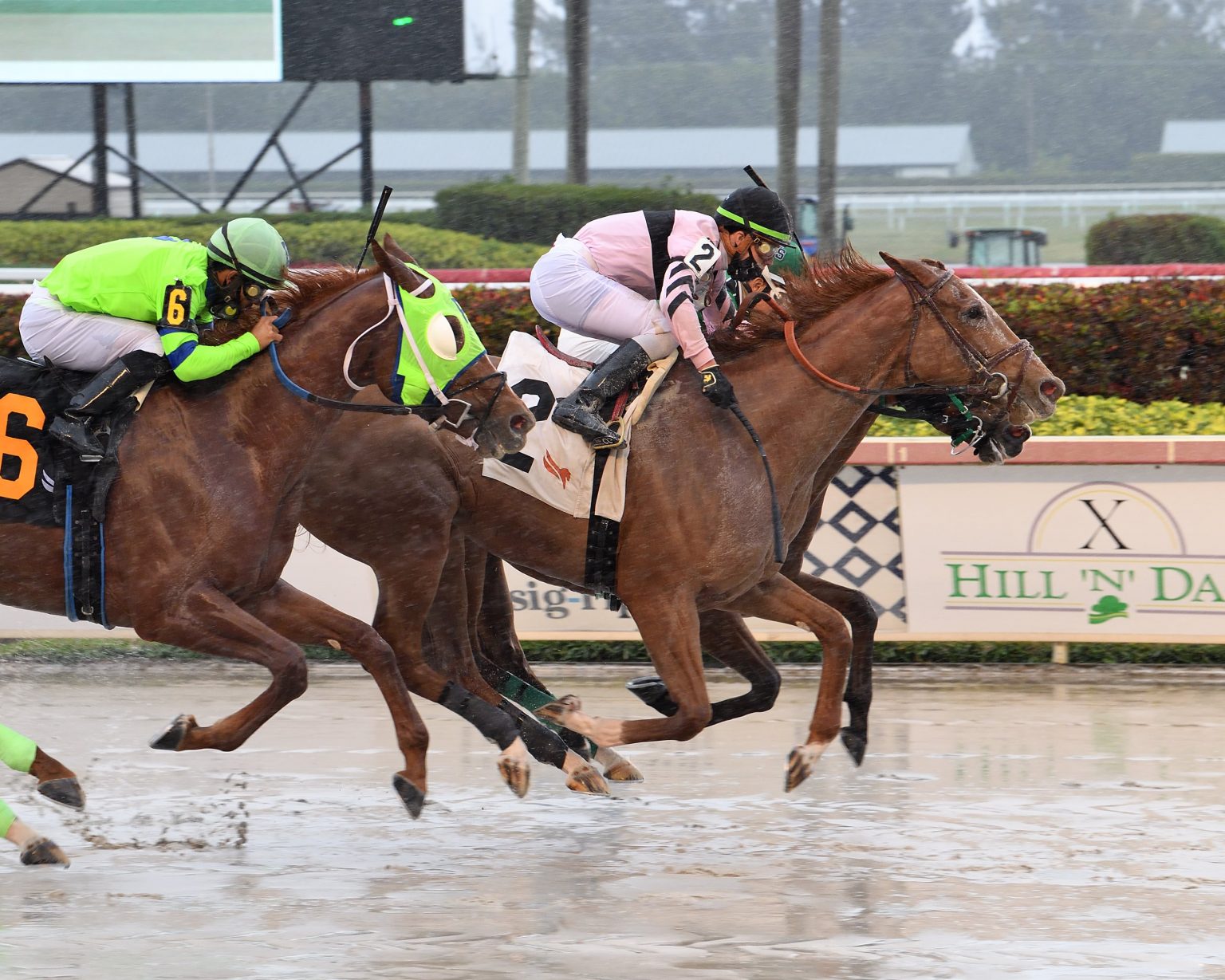 Nominations Total 244 Horses for Preakness Stakes (G1) Undercard