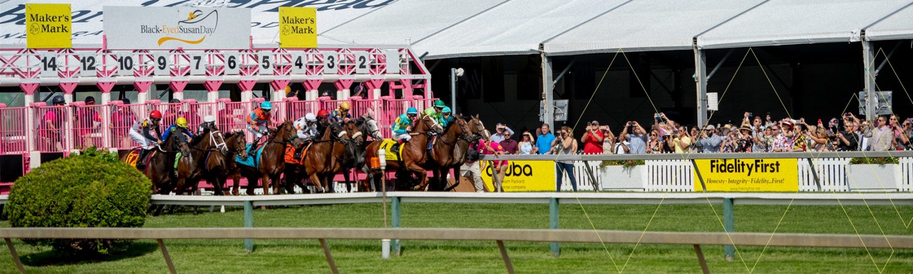 BlackEyed Susan Horse Race 2023 Preakness Stakes