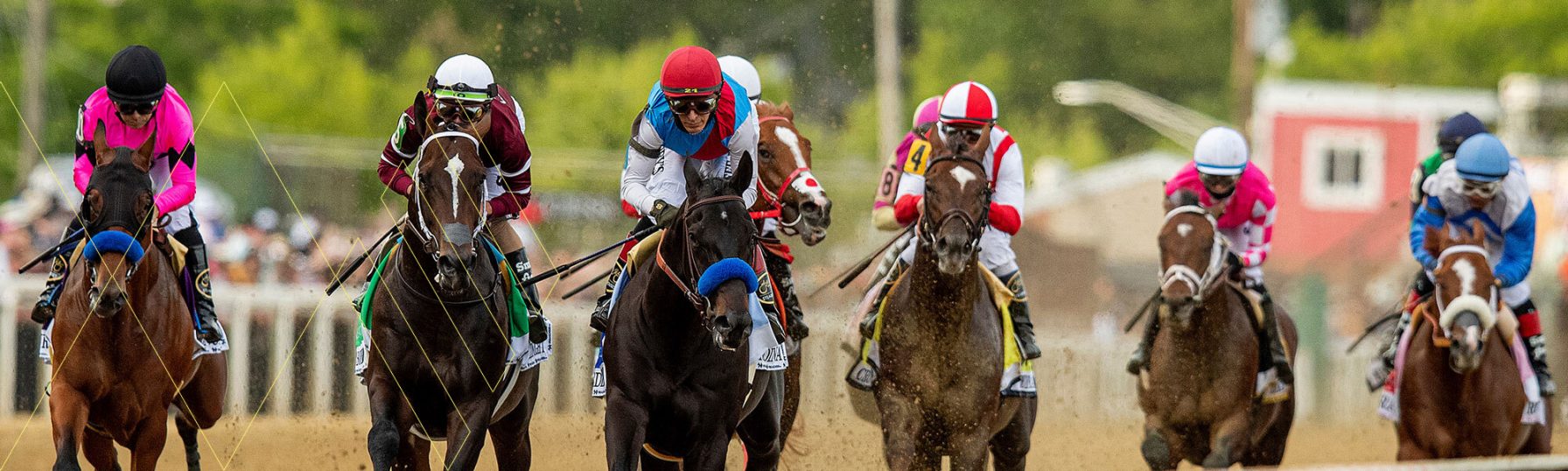 Horse Race Betting & Expert Picks Preakness Stakes