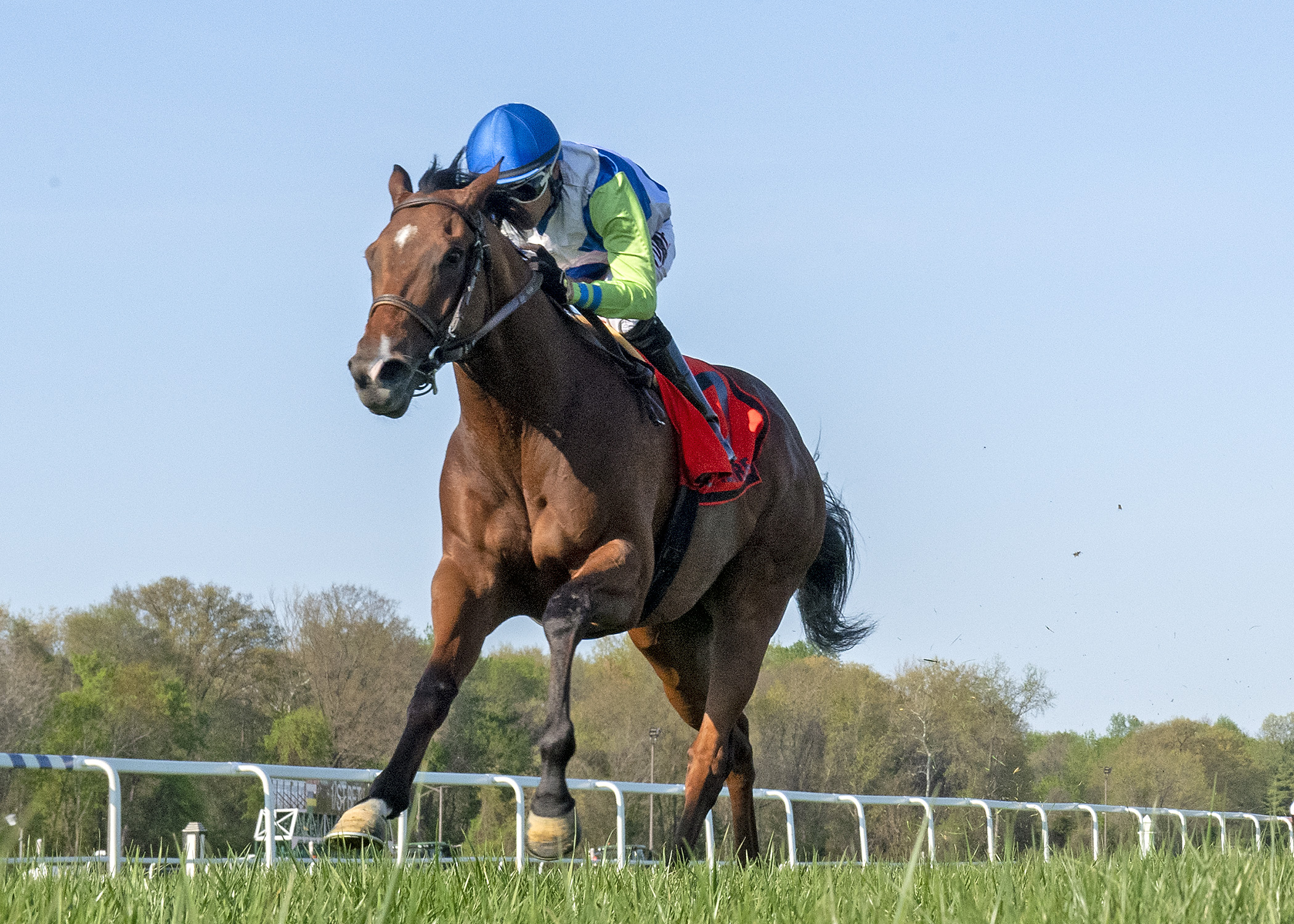 Nominations Total 245 Horses for Preakness Stakes (G1) Undercard