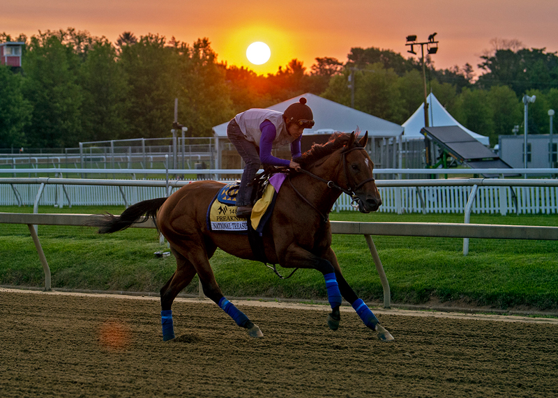 Mage Responding to trainer Gustavo Delgado’s Program Preakness Stakes