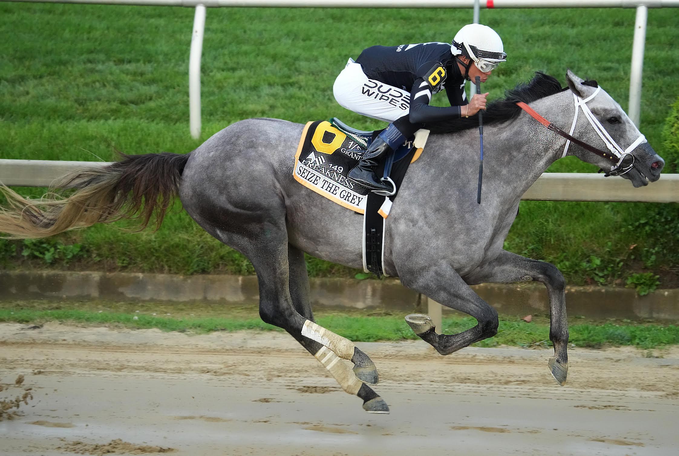 Preakness 150 May, 2025 Preakness Stakes